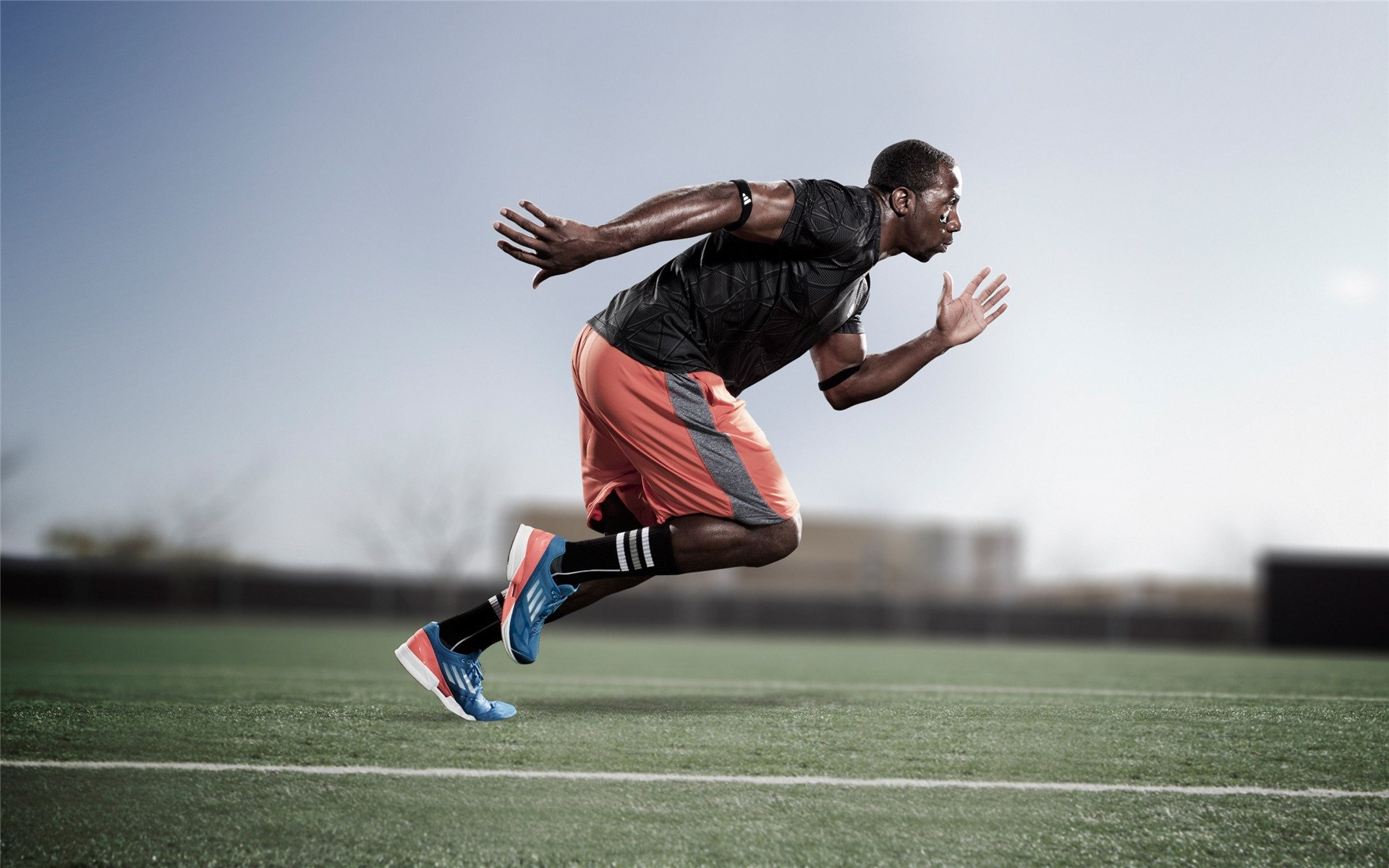 体育赛事未来趋势预测